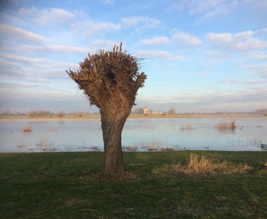 Unique Place On The River Waal Heerewaarden Экстерьер фото